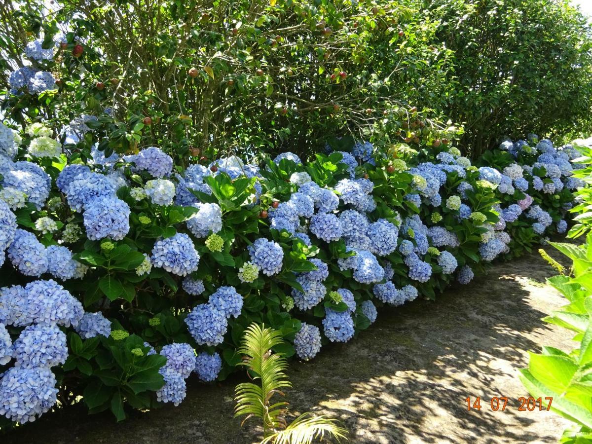 فيلا Quinta Do Sol Poente Feteiras المظهر الخارجي الصورة